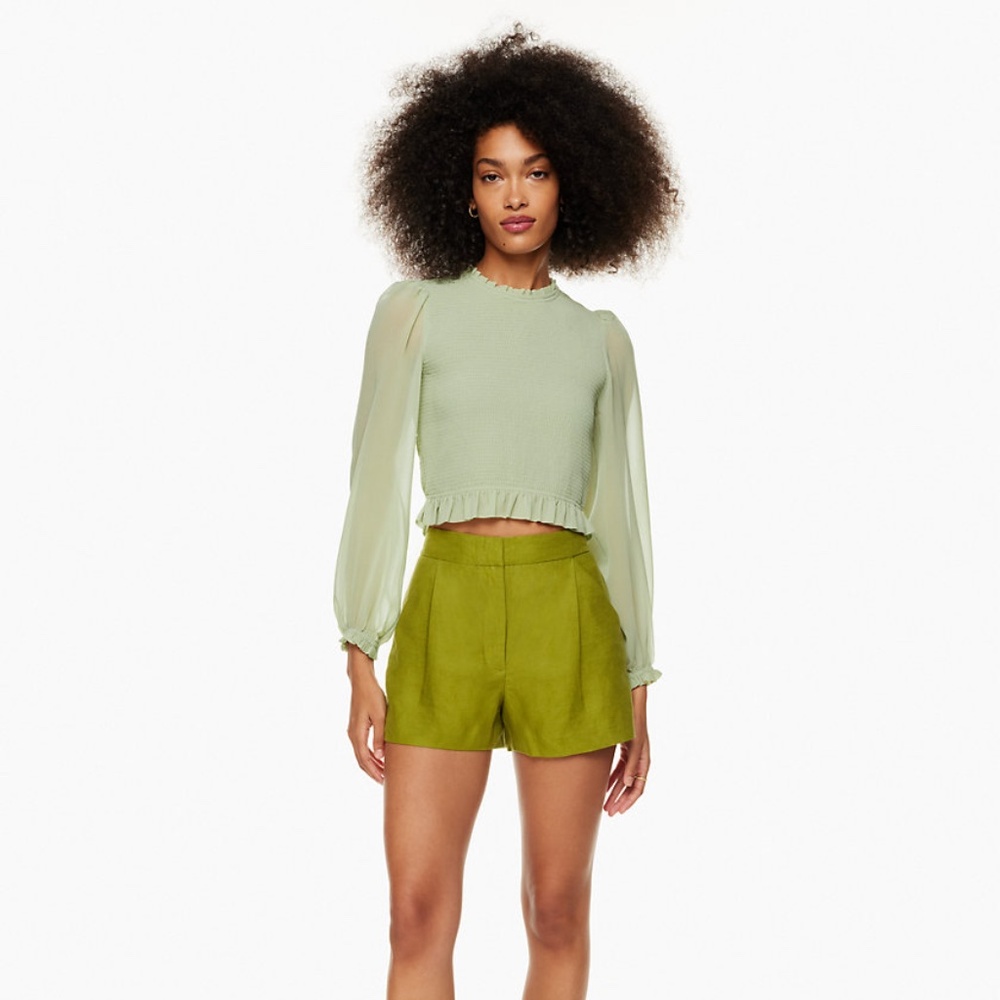 Light green Wilfred Tempest Blouse Smocked chiffon blouse Aritzia